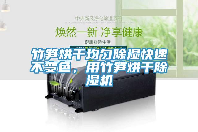 竹筍烘干均勻除濕快速不變色，用竹筍烘干除濕機(jī)