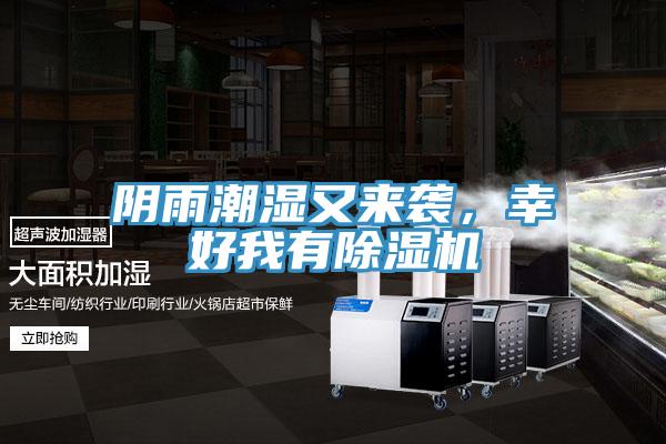 陰雨潮濕又來(lái)襲，幸好我有除濕機(jī)