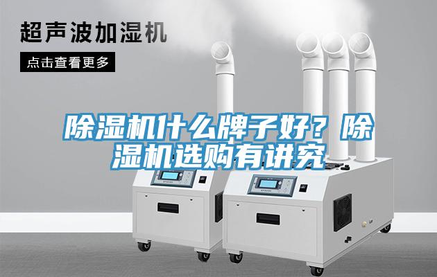 除濕機(jī)什么牌子好？除濕機(jī)選購有講究