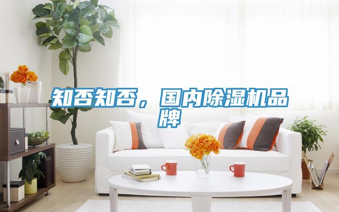 知否知否，國(guó)內(nèi)除濕機(jī)品牌