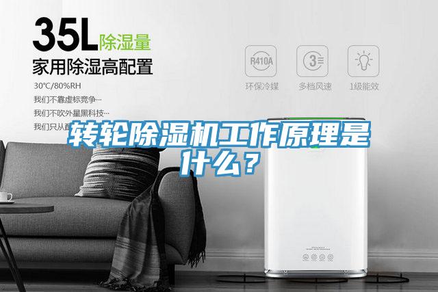 轉(zhuǎn)輪除濕機工作原理是什么？