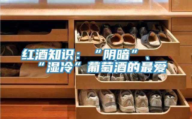 紅酒知識(shí)：“陰暗”、“濕冷”葡萄酒的最愛