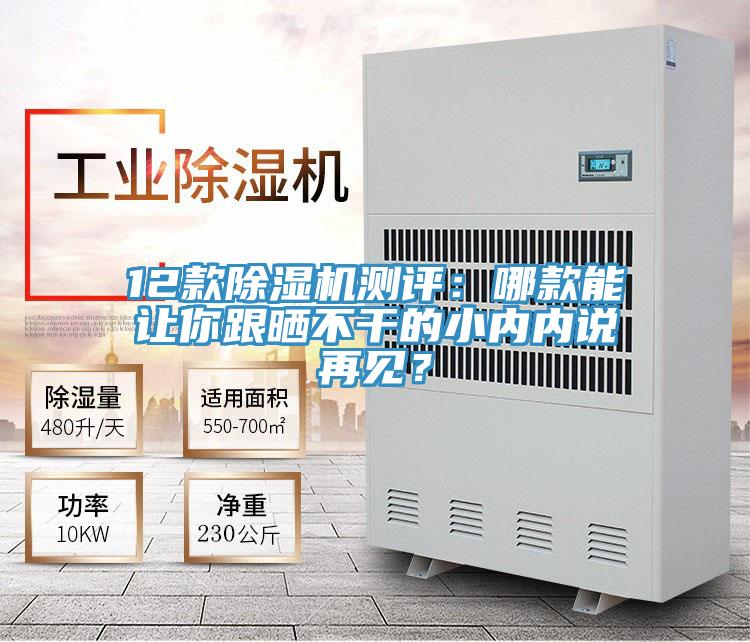 12款除濕機(jī)測(cè)評(píng)：哪款能讓你跟曬不干的小內(nèi)內(nèi)說(shuō)再見(jiàn)？