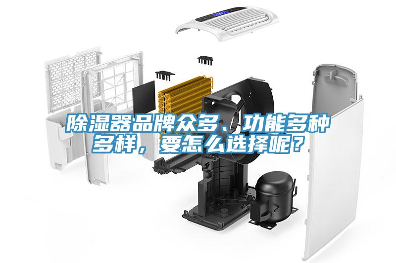 除濕器品牌眾多、功能多種多樣，要怎么選擇呢？