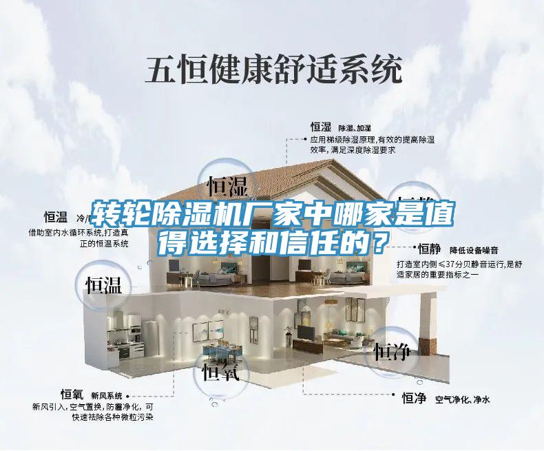 轉(zhuǎn)輪除濕機廠家中哪家是值得選擇和信任的？