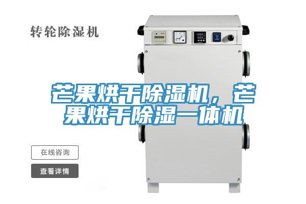 芒果烘干除濕機(jī)，芒果烘干除濕一體機(jī)