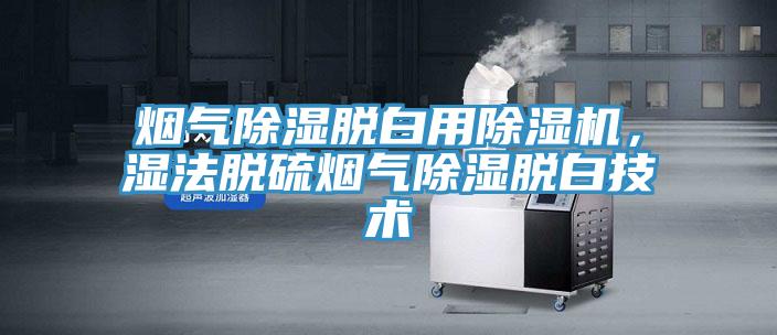 煙氣除濕脫白用除濕機(jī)，濕法脫硫煙氣除濕脫白技術(shù)