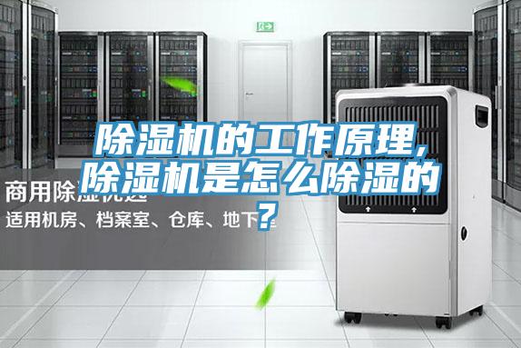 除濕機的工作原理,除濕機是怎么除濕的？