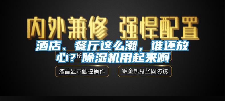 酒店、餐廳這么潮，誰還放心？除濕機(jī)用起來啊