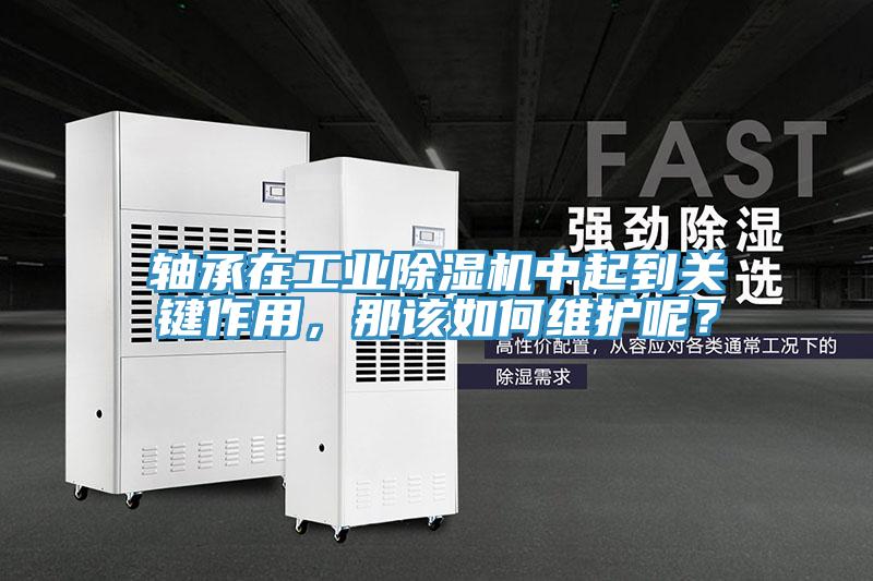 軸承在工業(yè)除濕機中起到關(guān)鍵作用，那該如何維護呢？