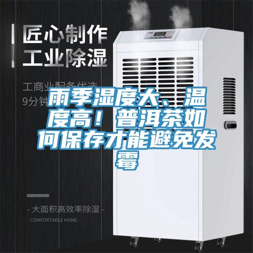 雨季濕度大、溫度高！普洱茶如何保存才能避免發(fā)霉