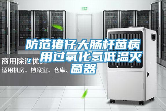 防范豬仔大腸桿菌病，用過(guò)氧化氫低溫滅菌器