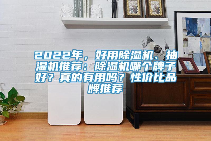 2022年，好用除濕機(jī)、抽濕機(jī)推薦：除濕機(jī)哪個牌子好？真的有用嗎？性價(jià)比品牌推薦