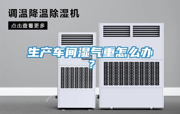 生產(chǎn)車間濕氣重怎么辦？