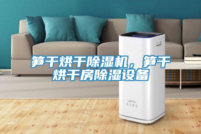 筍干烘干除濕機，筍干烘干房除濕設(shè)備