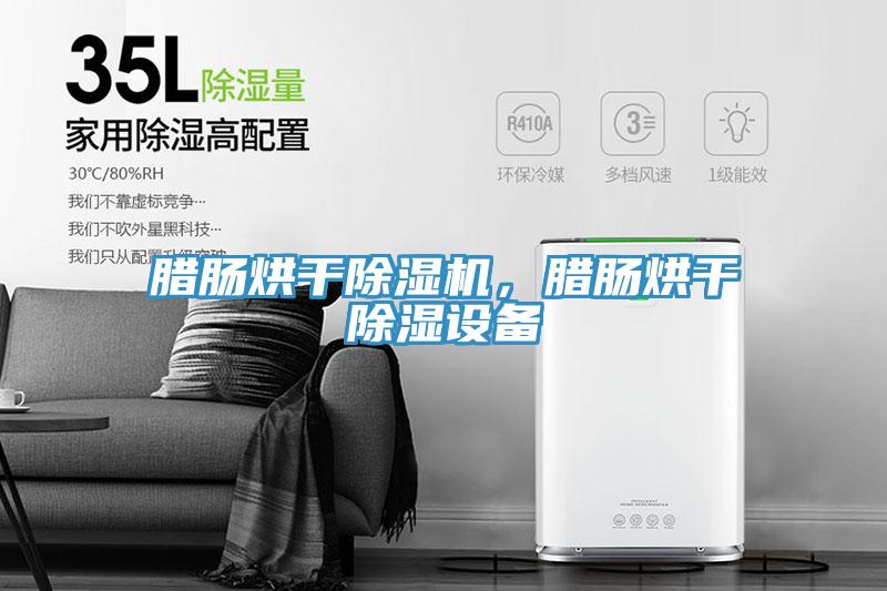臘腸烘干除濕機，臘腸烘干除濕設備