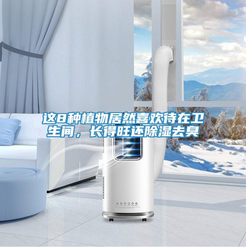 這8種植物居然喜歡待在衛(wèi)生間，長(zhǎng)得旺還除濕去臭