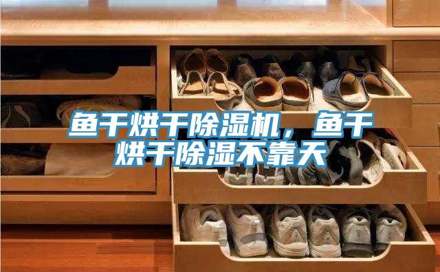 魚干烘干除濕機(jī)，魚干烘干除濕不靠天