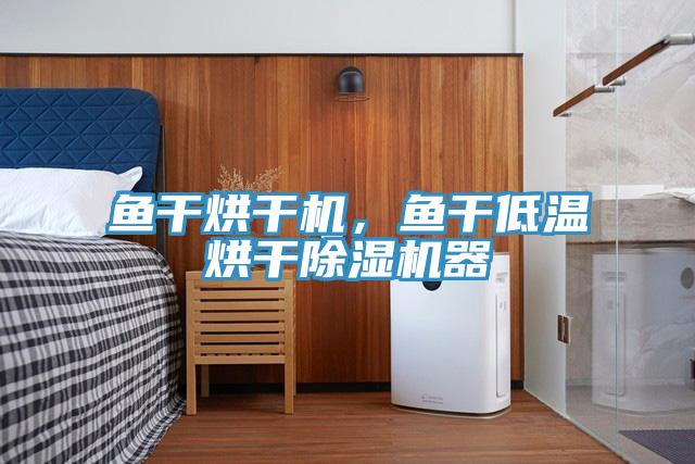 魚干烘干機(jī)，魚干低溫烘干除濕機(jī)器