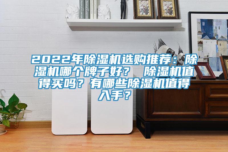 2022年除濕機(jī)選購?fù)扑]：除濕機(jī)哪個牌子好？ 除濕機(jī)值得買嗎？有哪些除濕機(jī)值得入手？