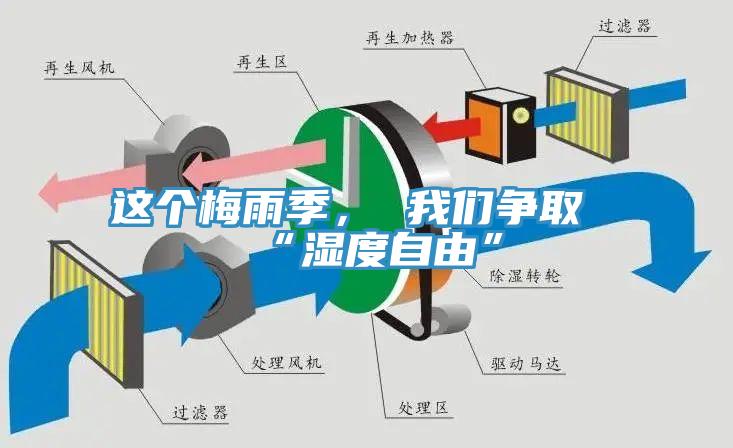 這個(gè)梅雨季， 我們爭(zhēng)取“濕度自由”