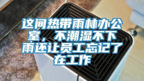 這間熱帶雨林辦公室，不潮濕不下雨還讓員工忘記了在工作