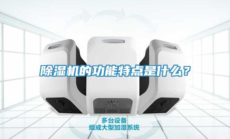 除濕機(jī)的功能特點(diǎn)是什么？