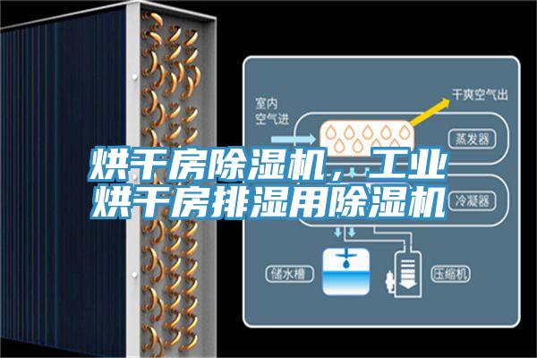 烘干房除濕機，工業(yè)烘干房排濕用除濕機