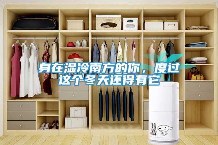身在濕冷南方的你，度過這個冬天還得有它