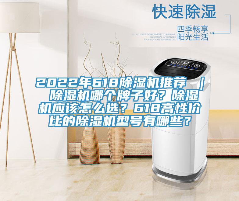 2022年618除濕機(jī)推薦 ｜ 除濕機(jī)哪個牌子好？除濕機(jī)應(yīng)該怎么選？618高性價比的除濕機(jī)型號有哪些？