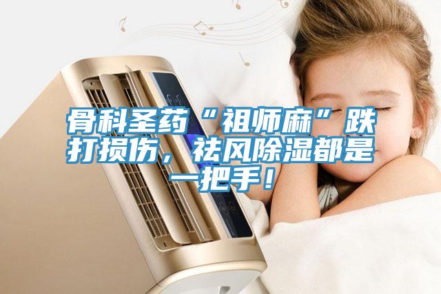 骨科圣藥“祖師麻”跌打損傷，祛風(fēng)除濕都是一把手！