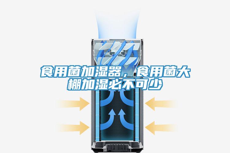 食用菌加濕器，食用菌大棚加濕必不可少