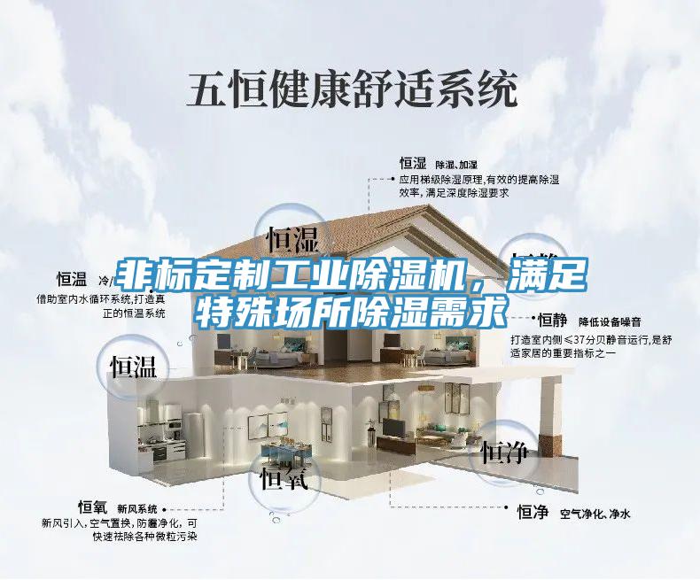 非標(biāo)定制工業(yè)除濕機，滿足特殊場所除濕需求