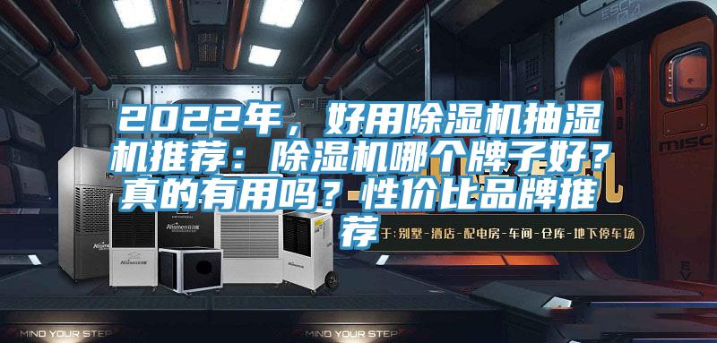 2022年，好用除濕機(jī)抽濕機(jī)推薦：除濕機(jī)哪個牌子好？真的有用嗎？性價(jià)比品牌推薦