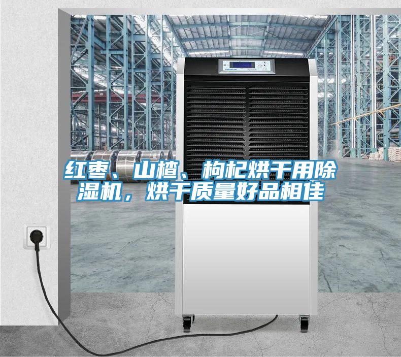 紅棗、山楂、枸杞烘干用除濕機(jī)，烘干質(zhì)量好品相佳