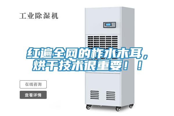 紅遍全網(wǎng)的柞水木耳，烘干技術(shù)很重要??！