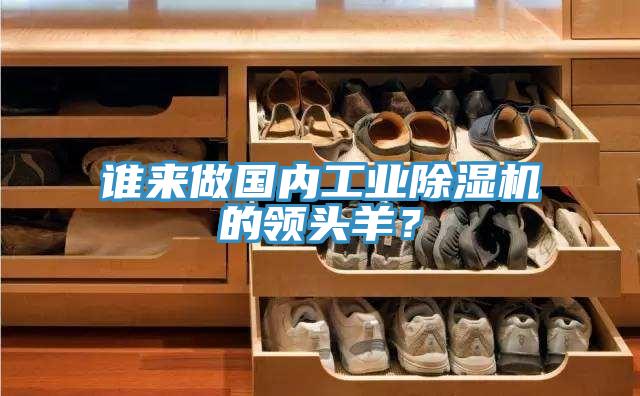 誰來做國內(nèi)工業(yè)除濕機的領(lǐng)頭羊？