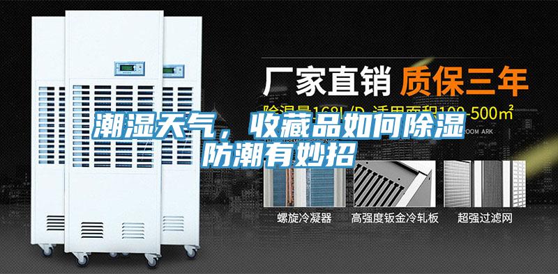 潮濕天氣，收藏品如何除濕防潮有妙招