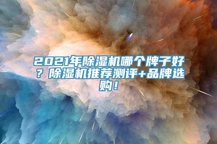 2021年除濕機(jī)哪個牌子好？除濕機(jī)推薦測評+品牌選購！