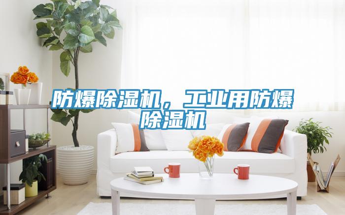 防爆除濕機(jī)，工業(yè)用防爆除濕機(jī)