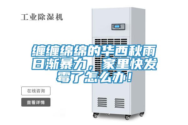 纏纏綿綿的華西秋雨日漸暴力，家里快發(fā)霉了怎么辦！