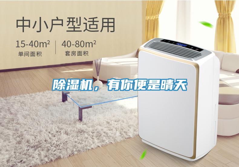 除濕機(jī)，有你便是晴天
