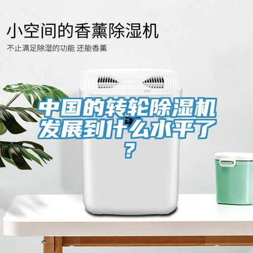 中國的轉(zhuǎn)輪除濕機(jī)發(fā)展到什么水平了？