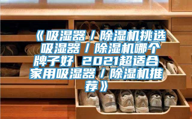 《吸濕器／除濕機(jī)挑選 吸濕器／除濕機(jī)哪個牌子好 2021超適合家用吸濕器／除濕機(jī)推薦》