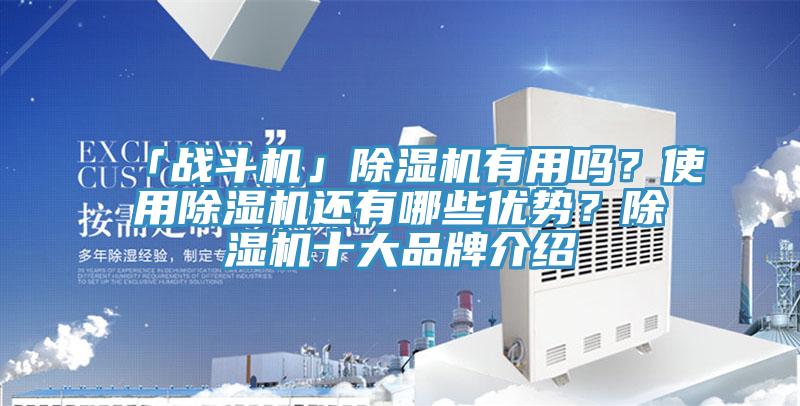 「戰(zhàn)斗機(jī)」除濕機(jī)有用嗎？使用除濕機(jī)還有哪些優(yōu)勢(shì)？除濕機(jī)十大品牌介紹