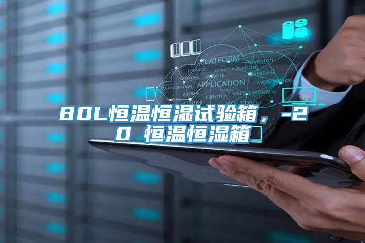 80L恒溫恒濕試驗(yàn)箱，-20℃恒溫恒濕箱