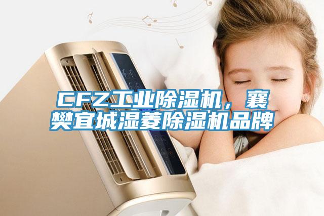 CFZ工業(yè)除濕機(jī)，襄樊宜城濕菱除濕機(jī)品牌