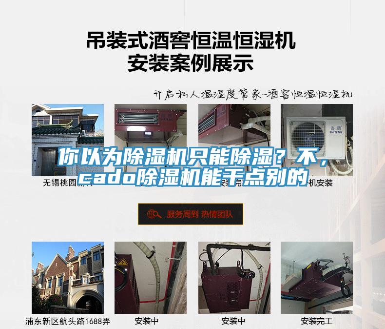 你以為除濕機(jī)只能除濕？不，cado除濕機(jī)能干點別的