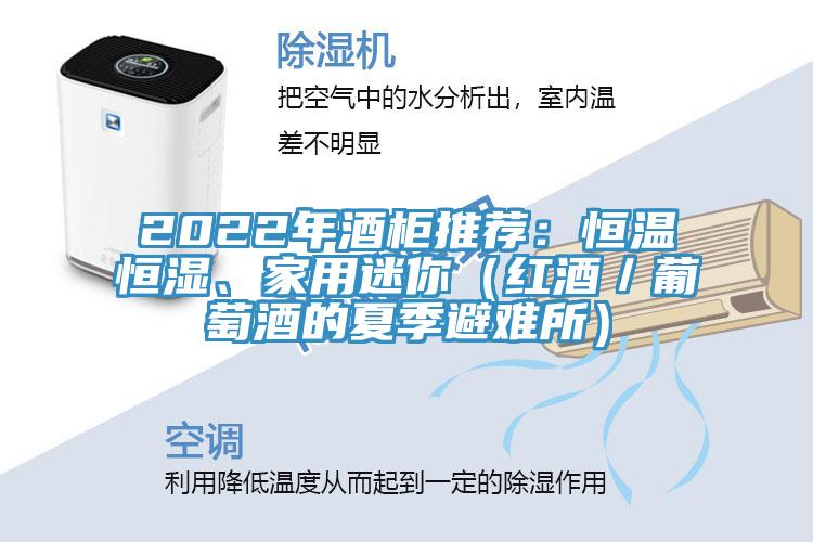 2022年酒柜推薦：恒溫恒濕、家用迷你（紅酒／葡萄酒的夏季避難所）