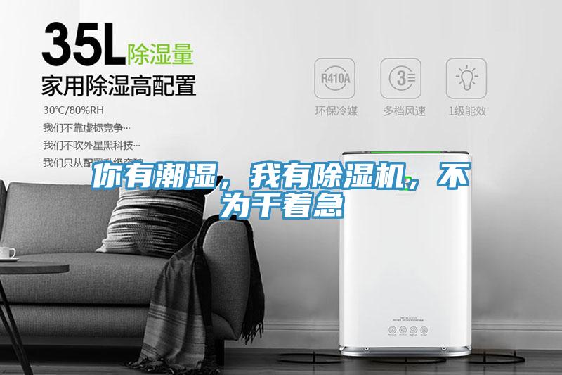 你有潮濕，我有除濕機(jī)，不為干著急